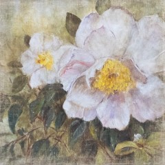 GRAND MAGNOLIA (120x120cm) GRAND MAGNOLIA (120x120cm)